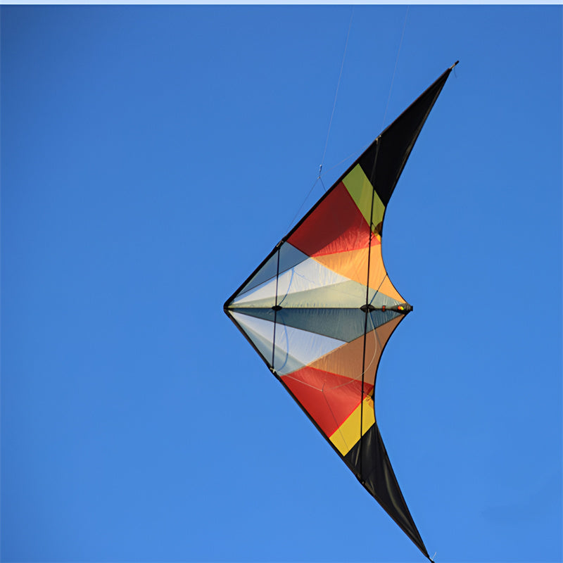free shipping 255cm dual line stunt kite thunder wing power kite line speak loudly professional wind kites for adults kites reel