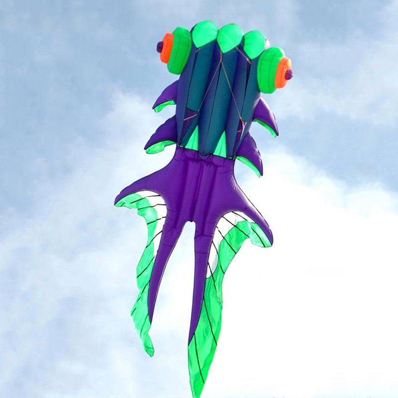 Free Shipping fish kites for adults flying outdoor fun inflatable toys paragliding windsurf kite airplane infant gym string