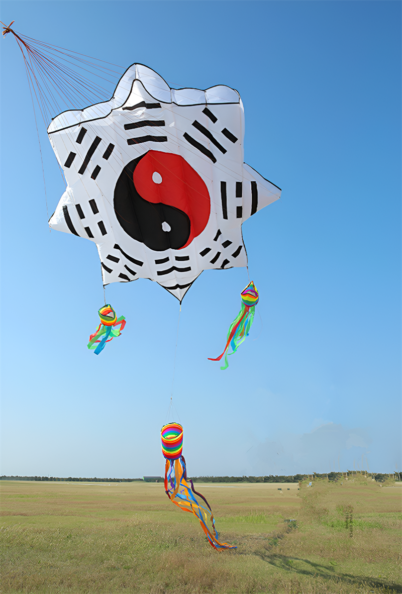 free shipping 3d kites flying soft kites gossip kite nylon ripstop giant inflatable kites Chinese traditional kites dragon kites