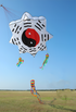 free shipping 3d kites flying soft kites gossip kite nylon ripstop giant inflatable kites Chinese traditional kites dragon kites