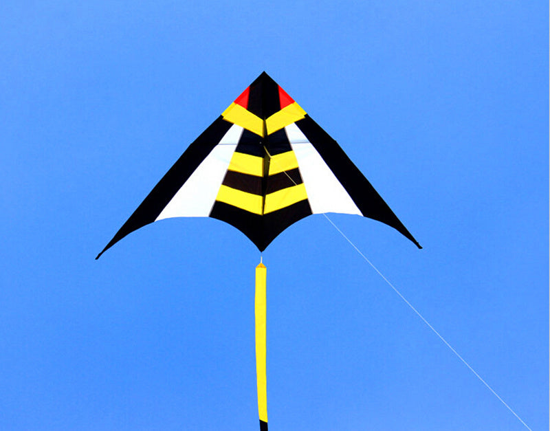free shipping large delta kite flying nylon kite reel parachute cerf volant kevlar line eagle kiteboard kites for adults kites