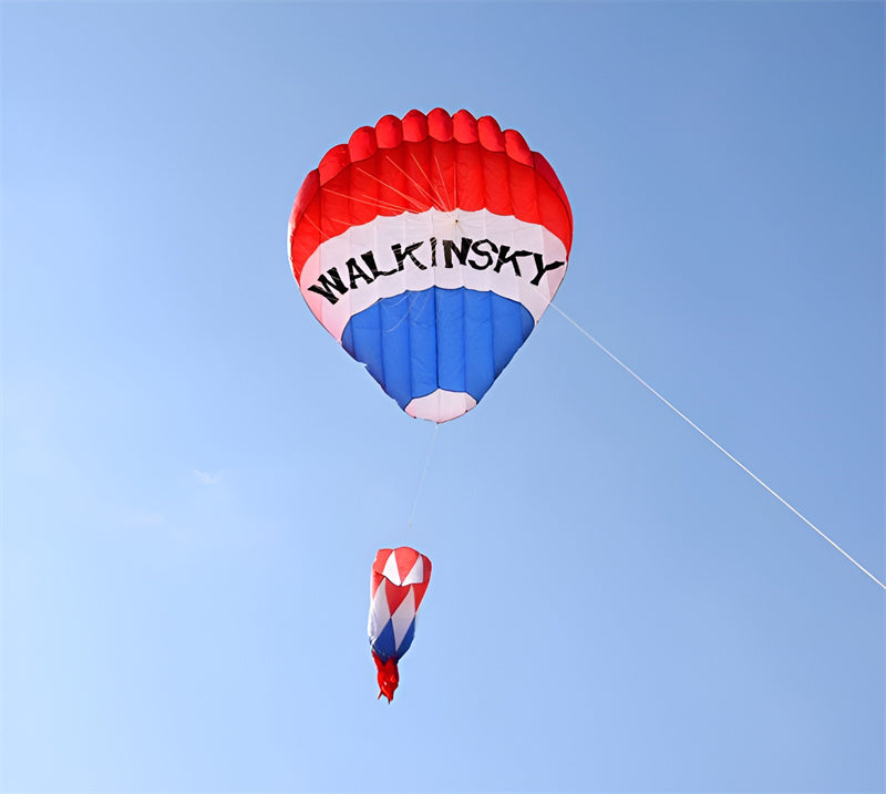 Free shipping 3m hot air balloon kite giant soft kite flying for adults ripstop nylon kites windsocks walk in sky outdoor sports