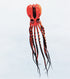 free shipping large octopus kite flying soft kite display kites for adults kites parachute professional kites inflatable kites