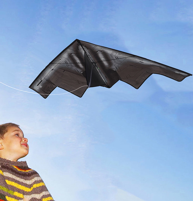 Free Shipping Plane kites flying for children kites line professional kite Butterfly wings outdoor game kids kite surfing flies