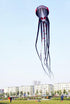free shipping large Capricorn octopus kite for adults kites parachute nylon kite surf outdoor game toys professional kite fabric
