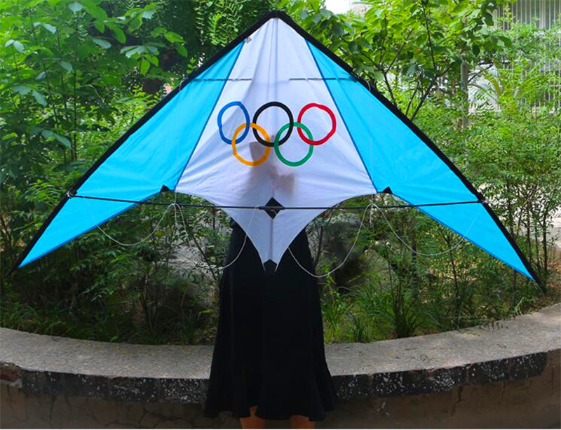 free shipping dual Line stunt kite flying professional wind kites for adults kite surf kite string power kite new beginner koi