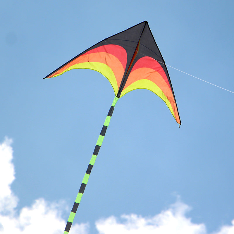 free shipping delta kites 6m tails flying toys for children kites fabric ripstop nylon outdoor sports beach kites factory ikite