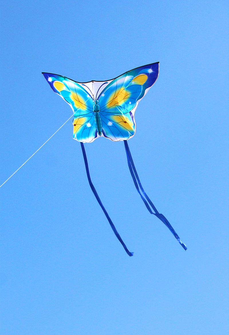 free shipping butterfly kites flying for kids kites nylon kites factory professional winds kites recreational reel flying fairy