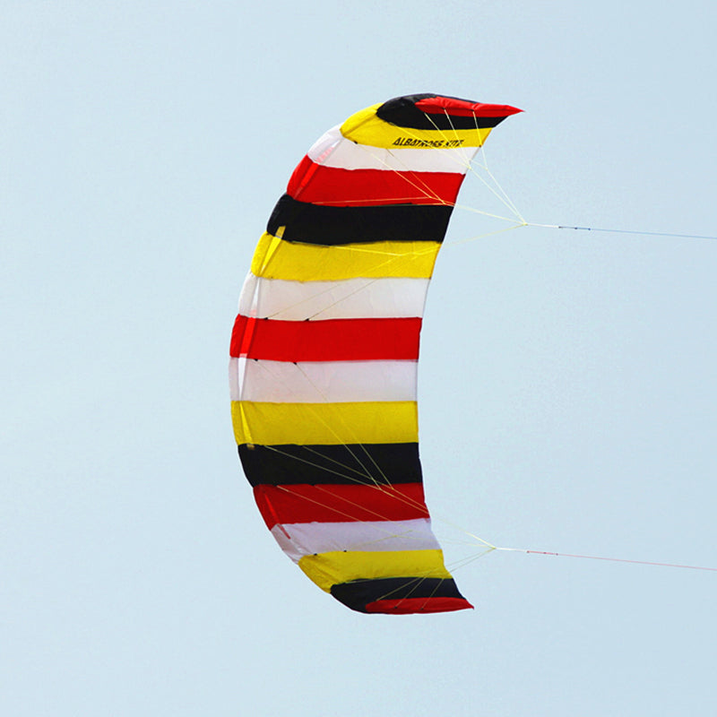 free shipping dual Line Stunt flying power Kite rainbow large soft kites for adults stingray kite ripstop nylon fabric kite reel