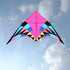 free shipping giant kites flying delta kites for adults kites line kevlar rainbow high kites factory outdoor toys walk in sky
