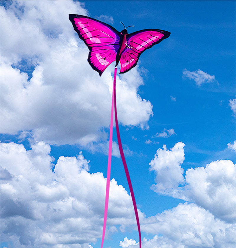 free shipping new butterfly kite flying toys for children kites and rays and lines wind kites line reel volantines Parachute