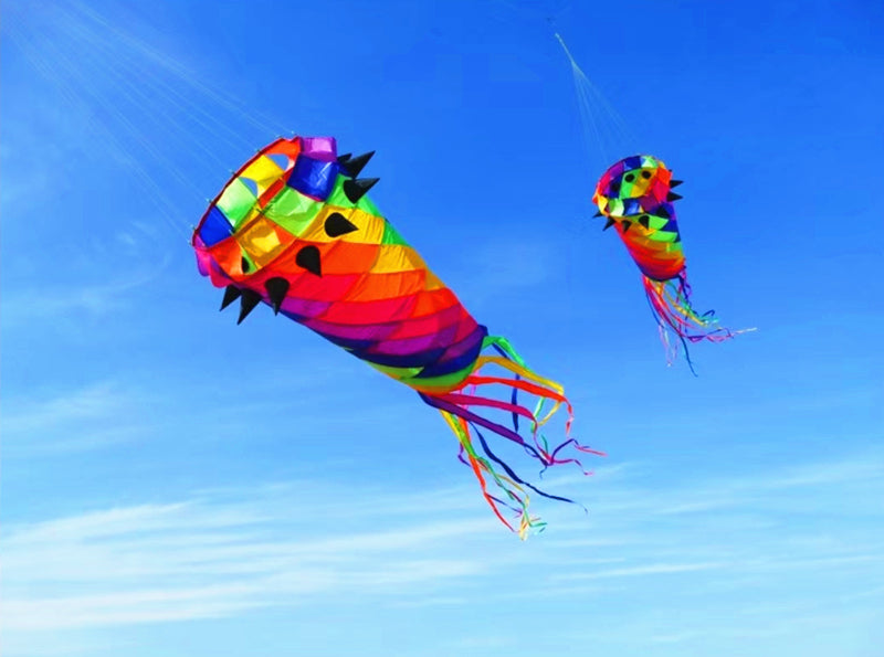 free shipping new kites windsocks 3d kites tails large kites for adults kites accessories soft kites outdoor toy Parachute kites