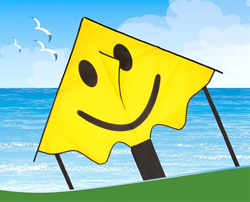 free shipping large smiling face kites children kites reel toys flying outdoor ripstop nylon kite for adults toys parachute cerf