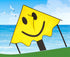 free shipping large smiling face kites children kites reel toys flying outdoor ripstop nylon kite for adults toys parachute cerf