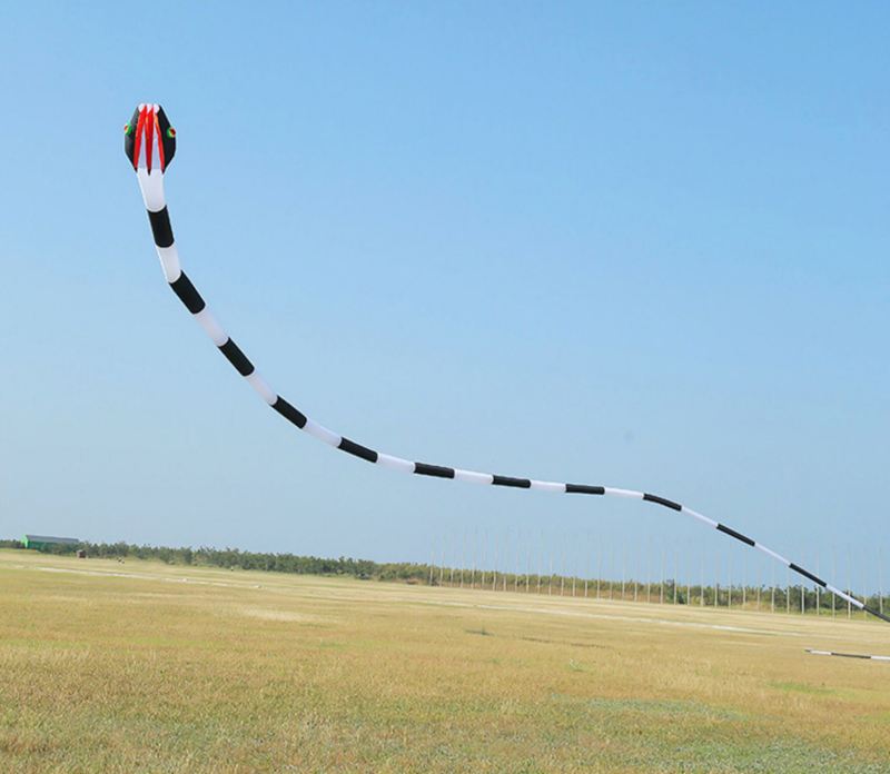 free shipping 3d kites flying snake kites for adults kites parachute inflatable kite dragon flight kite windsurfing professional