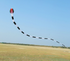 free shipping 3d kites flying snake kites for adults kites parachute inflatable kite dragon flight kite windsurfing professional