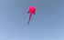 free shipping tadpole kite flying big soft kites fabric adults kites toy animal kite professional kite octopus factory parachute