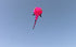 free shipping large tadpole kite fabric soft kites for adults reel toy animal kite professional kite octopus factory parachute