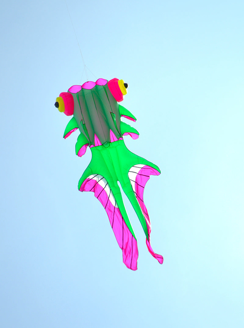 free shipping large soft kites flying fish kite factory professional kites for adults kites reel inflatable kites nylon fabric