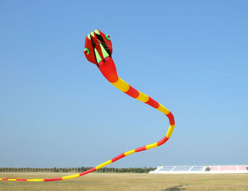 free shipping 3d kites flying snake kites for adults kites parachute inflatable kite dragon flight kite windsurfing professional