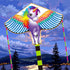 free shipping children kites flying toys ripstop nylon kites factory professional winds kites for kids dragon kites latawce koi