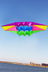 free shipping 2.5m Radar kites flying for children kites glider kites toys parafoil kite 3d kites professional paragliding adult