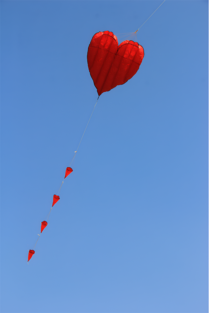 free shipping soft kites flying heart kites for adults kites and rays and lines love kites factory volantines paraglider fishing