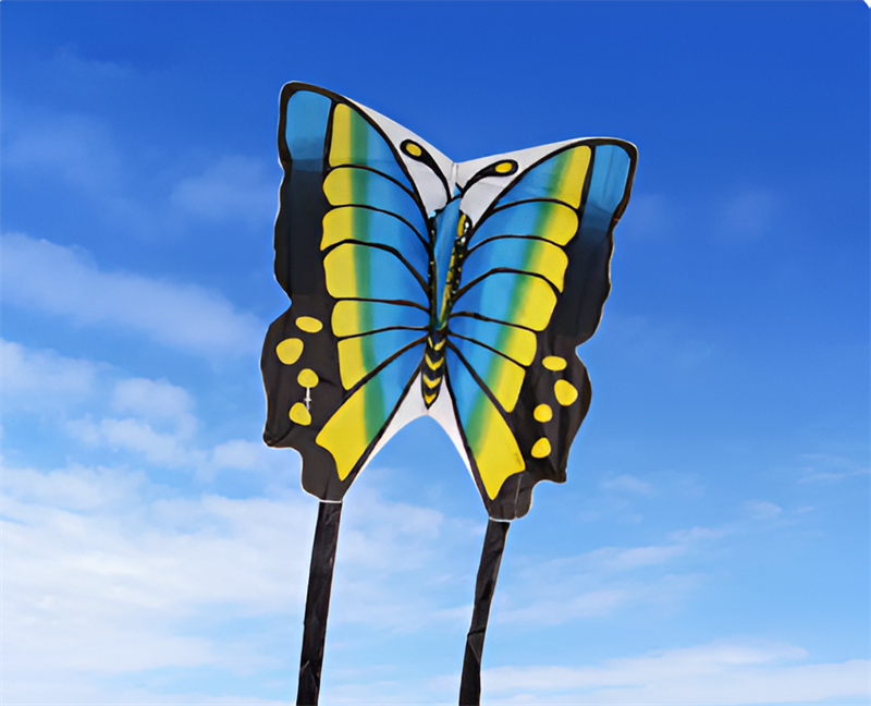 free shipping butterfly kite outdoor children kite flying toys ripstop nylon birds eagle kite parachute weifang kite factory new
