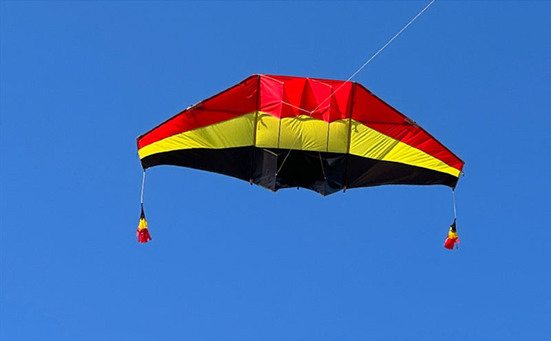 free shipping glider kites for adults kites ripstop nylon Power kite flyingbear rainbow high paper dragon snake coil cometa