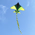 free shipping plane kite for kids kite string line flying toys falcon kite surf set balloon beach outdoor fun sports games ikite