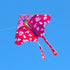free shipping new kites flying butterfly kites for kids kites string line koi fish kite for adults professional winds kites reel