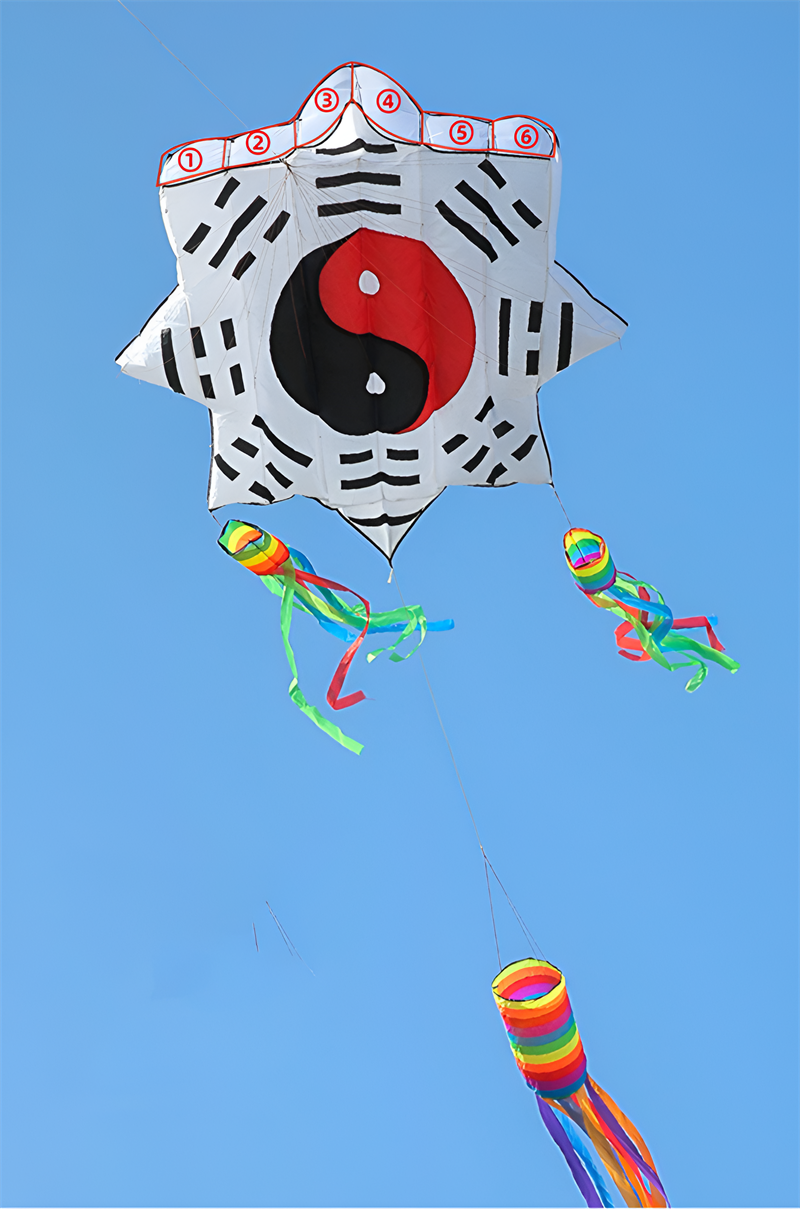 free shipping 3d kites flying soft kites gossip kite nylon ripstop giant inflatable kites Chinese traditional kites dragon kites