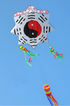 free shipping 3d kites flying soft kites gossip kite nylon ripstop giant inflatable kites Chinese traditional kites dragon kites