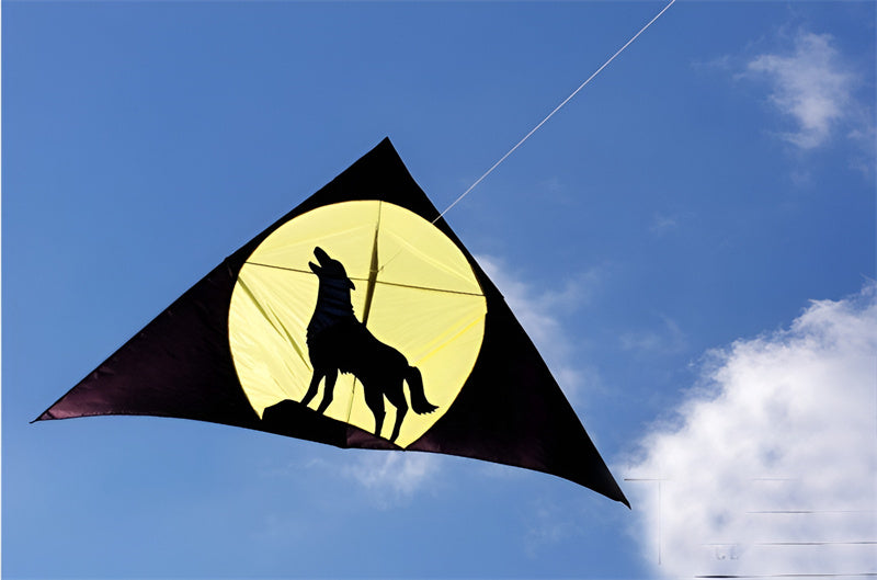 free shipping large wolf kite flying for kids wind kites adults kites string line parapent cerf paragliding parplan outdoor toys
