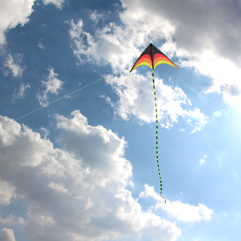 free shipping delta kites 6m tails flying toys for children kites fabric ripstop nylon outdoor sports beach kites factory ikite
