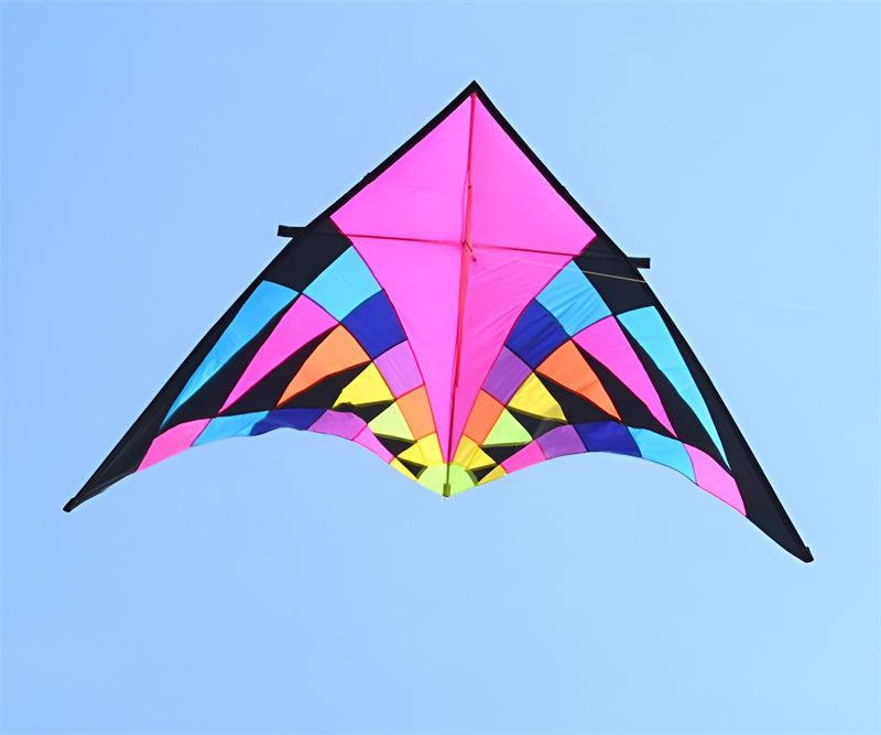 free shipping wholesale kites factory delta kite flying toys for children kites windsocks weifang bird kite string line nylon