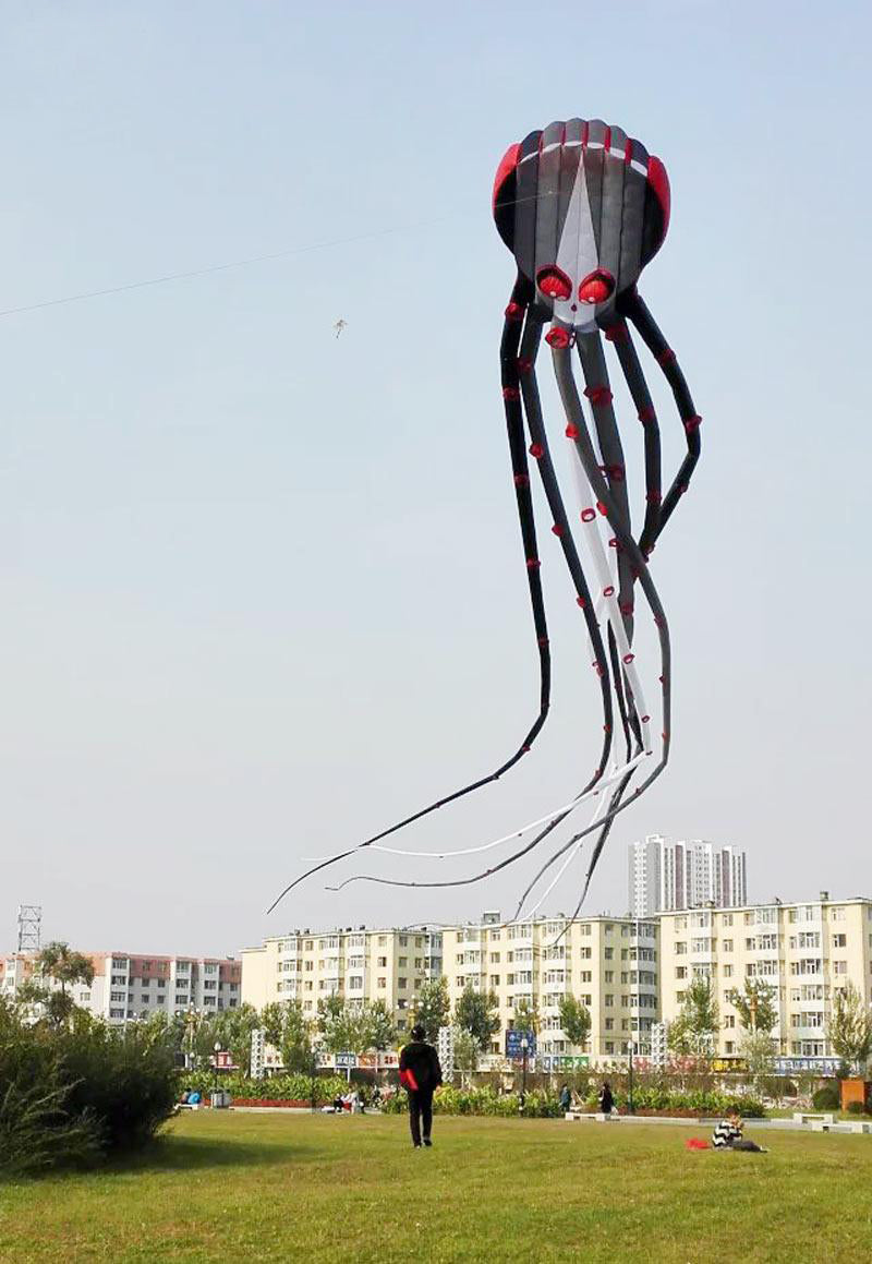free shipping large Capricorn octopus kite for adults kites parachute nylon kite surf outdoor game toys professional kite fabric