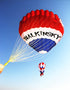Free shipping 3m hot air balloon kite giant soft kite flying for adults ripstop nylon kites windsocks walk in sky outdoor sports