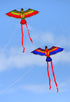 free shipping parrot kites flying toys for children kites reel weifang kites factory volantines rainbow high paraglider fishing