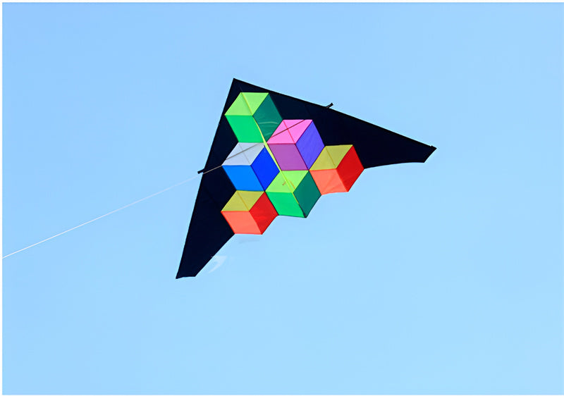 free shipping step by step delta kite fly for outdoor toys parachute kite for adults kite line large kite reel factory albatross