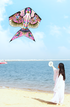Free shipping Swallow Kite flying toys for children kites line windsurfing dragon kite Child kite children's comet tarp cerf koi