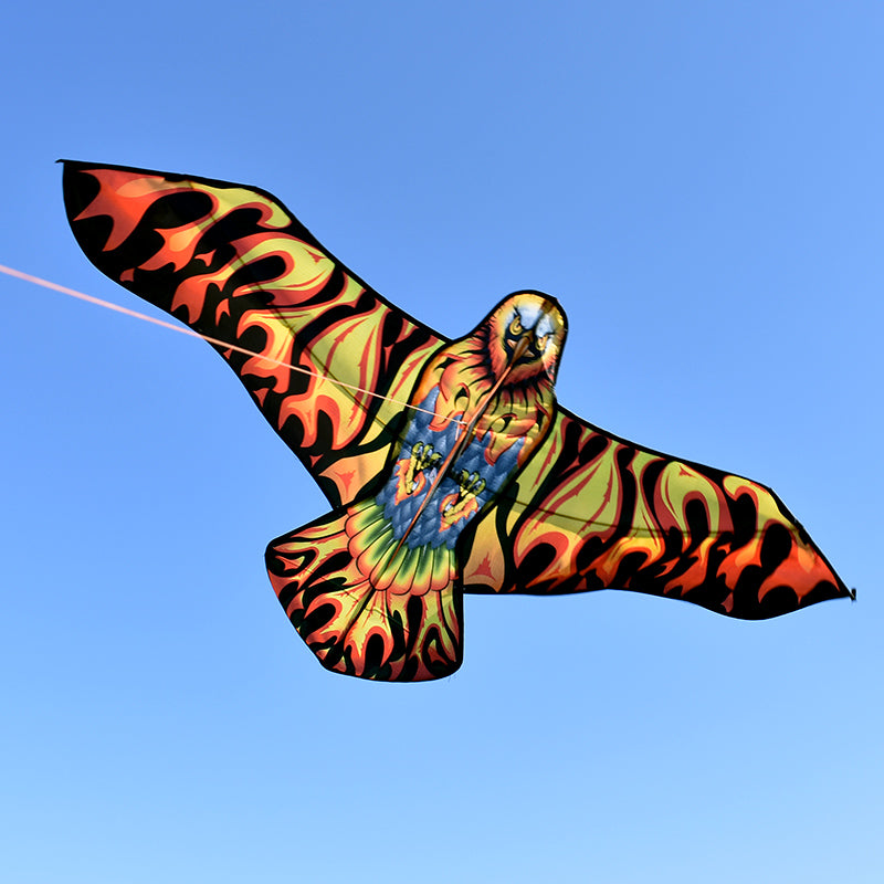free shipping firebird kite flying children eagle kite toys nylon kites birds kites parachute indonesia line for kite paracaida