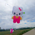 Free Shipping inflatable kite pendant flying soft kite windsocks kites show kites factory professional wind kites pilot kite