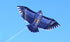 free shipping 10pcs/lot eagle kite wholesale factory weifang kite ripstop nylon fabric flying bird kites for adults professional