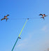 free shipping Pole Swallow kite flying toys for children handle line winder sports outdoors fun hand game mini kite rods fishing