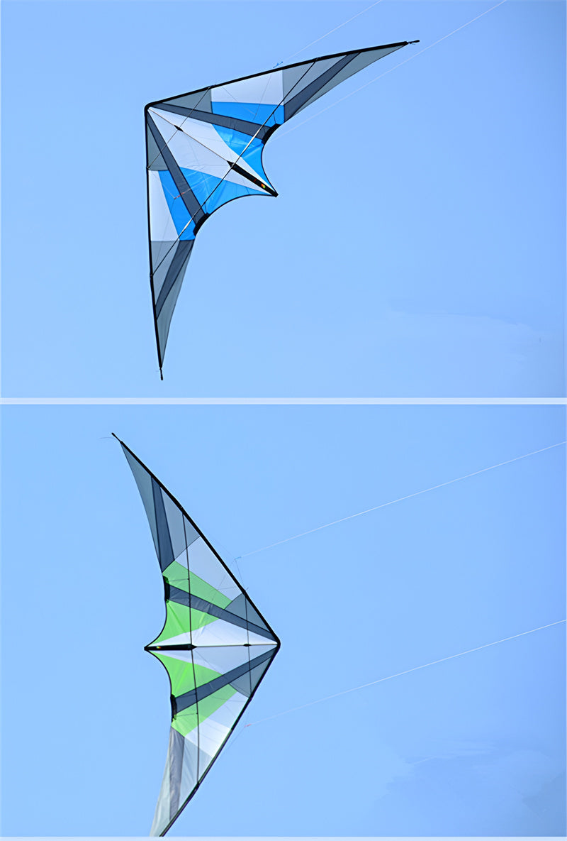 free shipping 260cm dancing swallow kite flying for adults stunt kite line Junlong dual line kite sport kites factory parachute