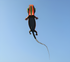 free shipping 14m gecko kites flying professional wind kites soft kites parachute giant kites for adults kites reel kite surf