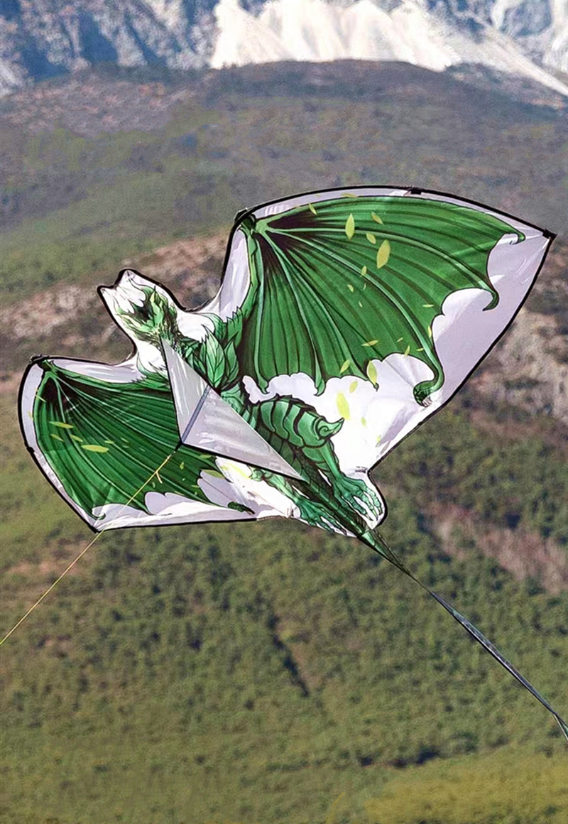 Free Shipping dragon kites flying for children kites fabric nylon weifang kites factory Outdoor toys flying dragon kite surfing