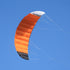 Free shipping parachute giant kites quad line power kites wasp kites paraglider kiteboard kitesurfing equipment for adults kites