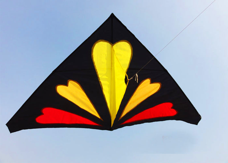 free shipping professional kites flying delta kite adults kites factory new kite string reel parachute outdoor fun sports buggy